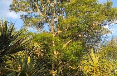 Casa de Campo & Home Office - Itapecerica da Serra , perto do Embu das Artes - Photo 27