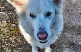 Agriturismo La Rosa Montefalco - Foto 30