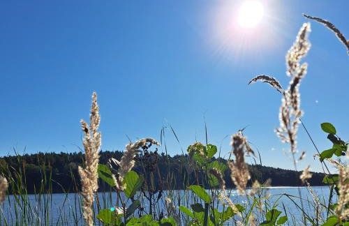 Łabądkowo - Foto 63