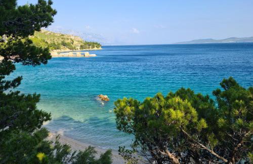 Vila nel verde - Foto 1