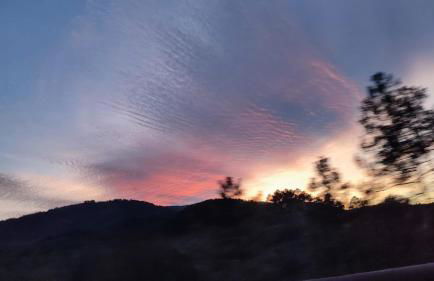 Gîte de la Salamandre - Foto 24