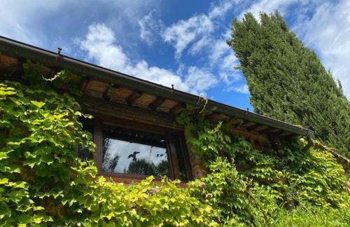 La Stellina Casa Vacanze - Relax immersi nella natura - Foto 13