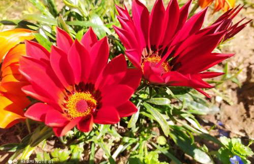 Casa Collicello relax - Foto 39