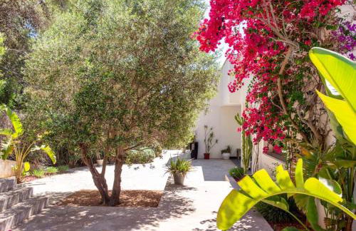 La Perla de Ibiza - Foto 52