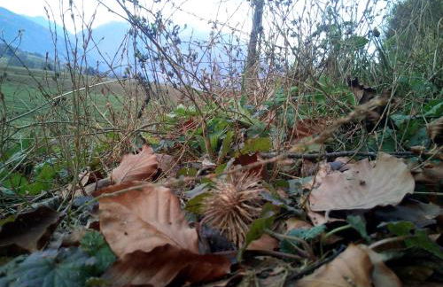 AGRITURISMO MASO PERTENER -adults friendly- - Foto 58