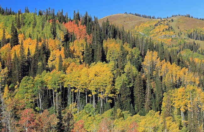 The Miners Club - Foto 28