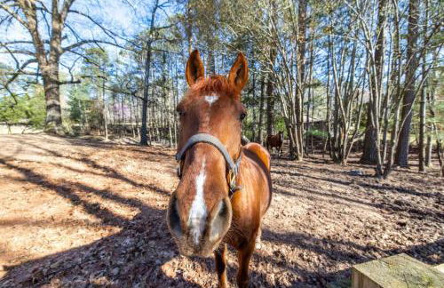 Lake Ranch - Foto 27