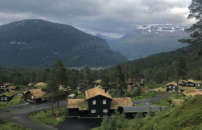 Hydlahytta Stryn - Foto 18