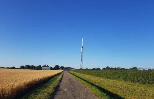 Holly Cottage - Foto 15