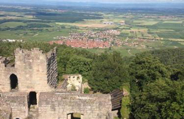 la grange à Emile - Foto 19