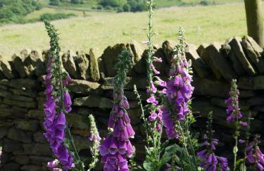 Room with a View - Foto 26