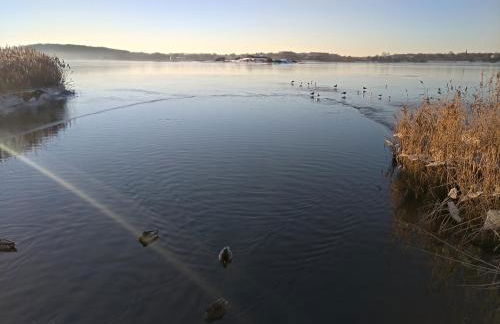 Ostsee Hausboot Schleswig Ostseeblick 1 - Foto 54