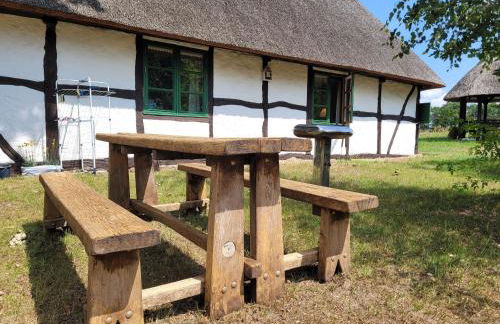 Ferienhof Schwalbennest OFC 24 - Foto 44