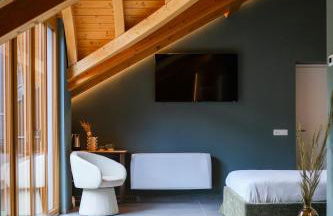 Sky Room Mountain View - Bernina Express access - Winter Sports Events 2026 - Photo 20