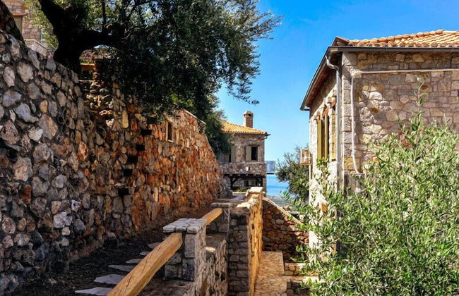 Diotima's Homes - Photo 21