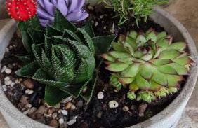 Sea House Kastilac - Foto 24