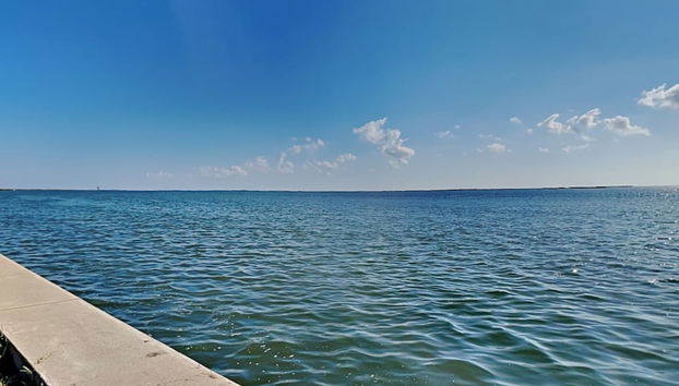 Fisherman Luv by Miss Kitty’s - Foto 3, Servicios del alojamiento