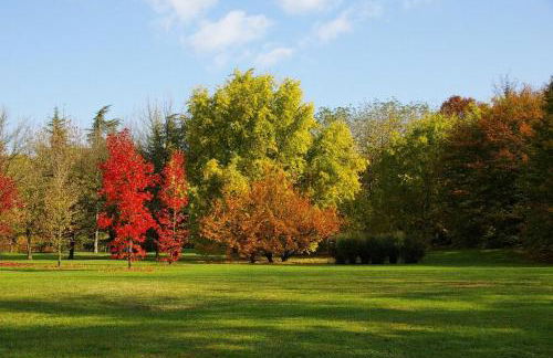 Casa Vacanze Tigli 312 - Foto 17