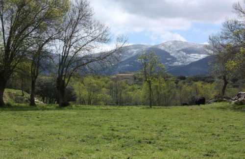 Las Casas del Palomar I & II - Photo 31