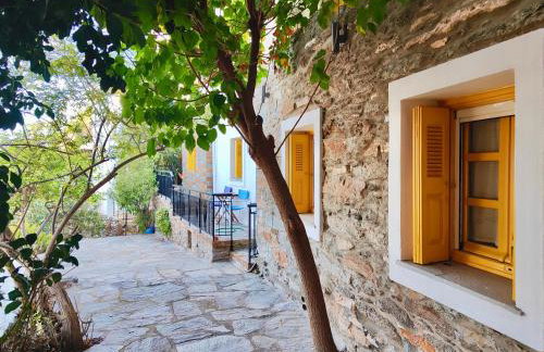 Ioulis Century Home - Photo 17