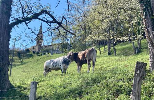 Casa Rural Passivhaus Kostoenea - Foto 25