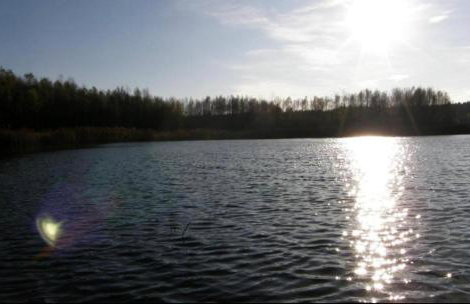 Noclegi nad jeziorem w Puszczy Zielonka - Foto 9