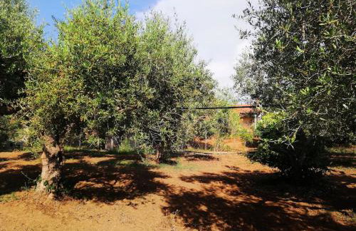 Agrilis Cottage near the beach - Foto 29