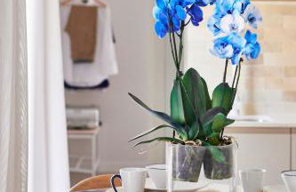 Slow Home Apartments - Photo 9