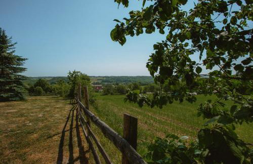 Widokówka Kaszuby - Foto 63
