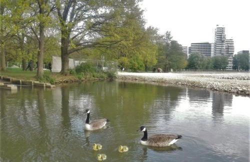 Ruhiges Apt. direkt am Naherholungsgebiet mit Seeblick, Zentrum 5min, Messe 18min - Foto 16
