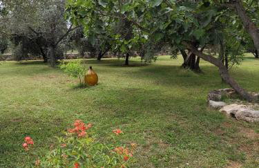 Marti's house in the olive grove - Foto 25