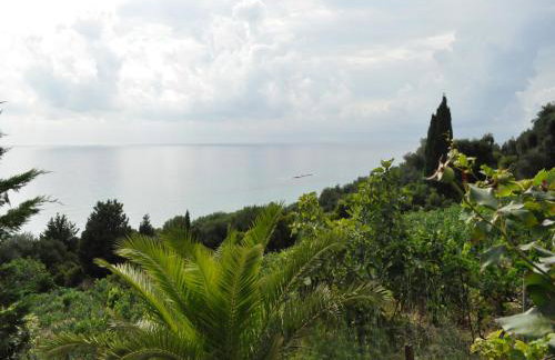 Areti Studios - Foto 48