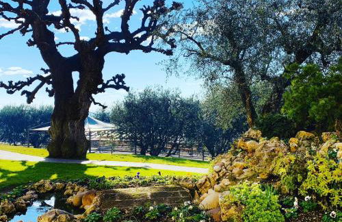 Agriturismo Le Tese - Foto 115