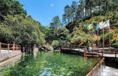 Casa Manuel I Sabugueiro - Foto 32