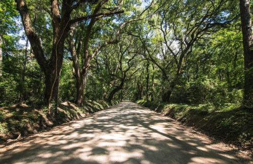 Maggie Brown - Foto 31