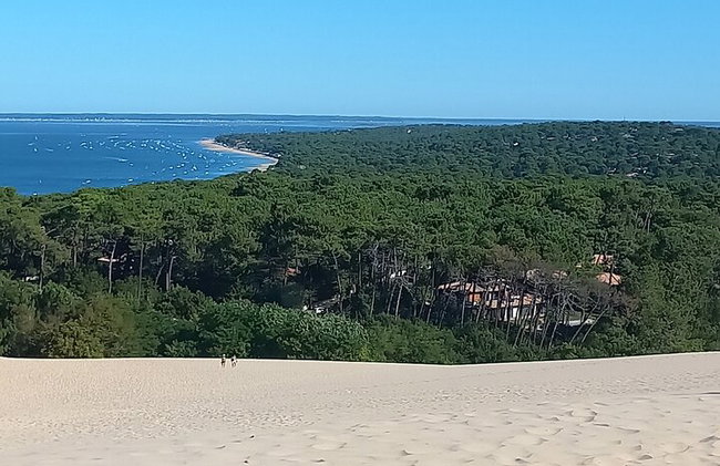 Mezza giornata al Bacino di Arcachon e alla Dune du Pilat - Foto 7