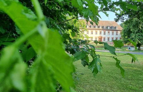 Schloss Kirchschönbach bei Prichsenstadt - Foto 29