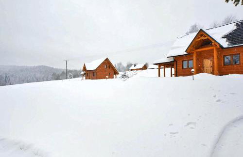 Bieszczadzkie Dworki - Foto 67