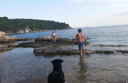 Holiday Home Bobovisca - Foto 38