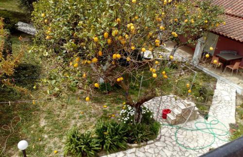 Maria's Paradise - Foto 44