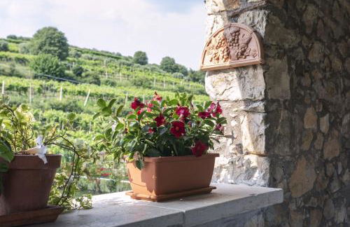 Corte dei Soavi Suites - Apartments - Foto 28