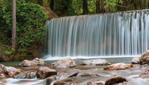 biodelfico, Policoro, Matera, Montalbano, mare - Foto 3