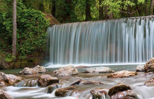 biodelfico, Policoro, Matera, Montalbano, mare - Foto 3