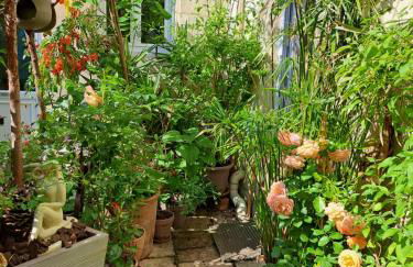 Terra-Crystal - Foto 68