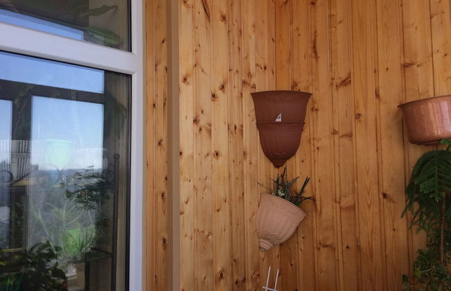 1st Man In Space Apartments - Foto 37