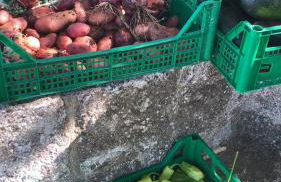 I PapaTrulli MiniResort - Foto 60