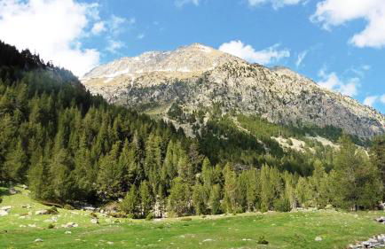 Apartamentos L´Era de Baix - Foto 74