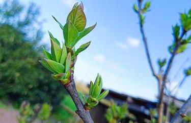 Le gîte Le Marillet - Photo 22