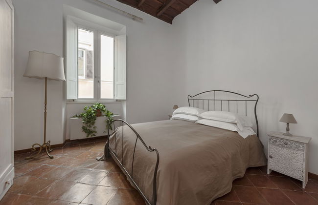 Volpe grande - Foto 6