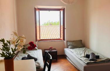 Sole di Bagnone - Photo 11